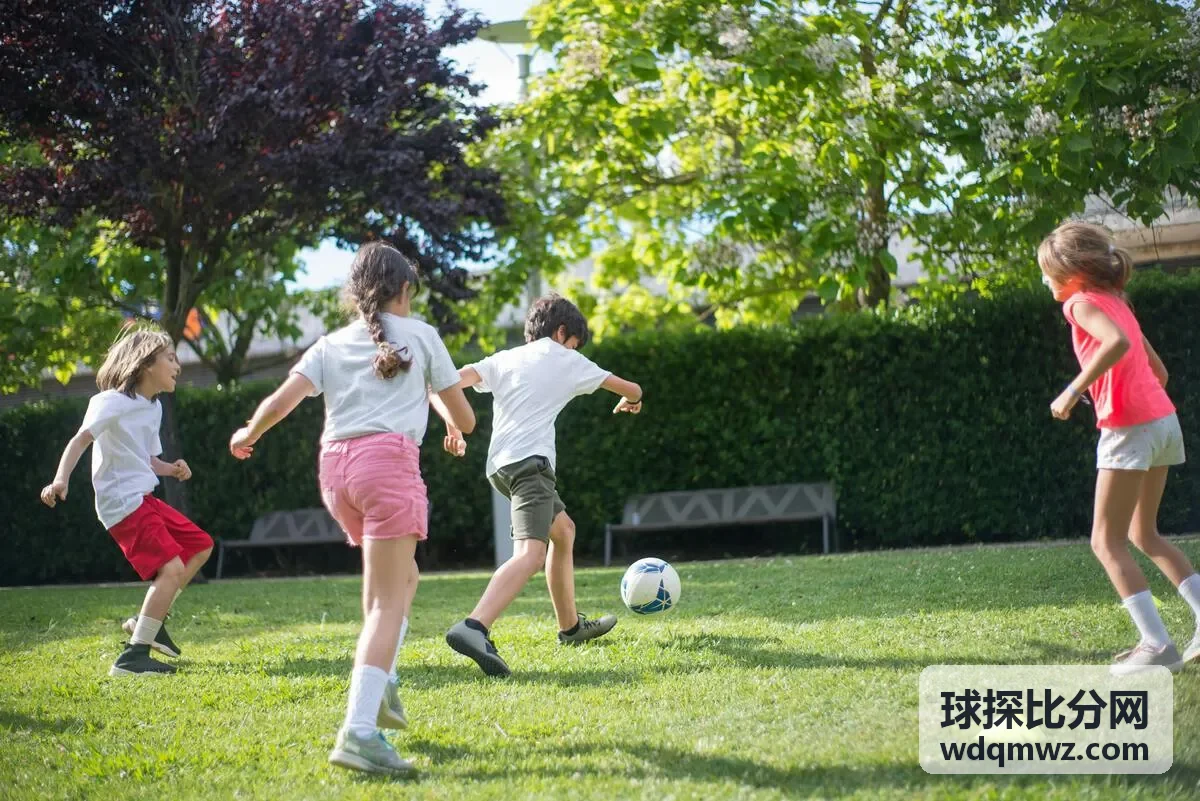 球探比分网 - 全球足球赛事盛典背景